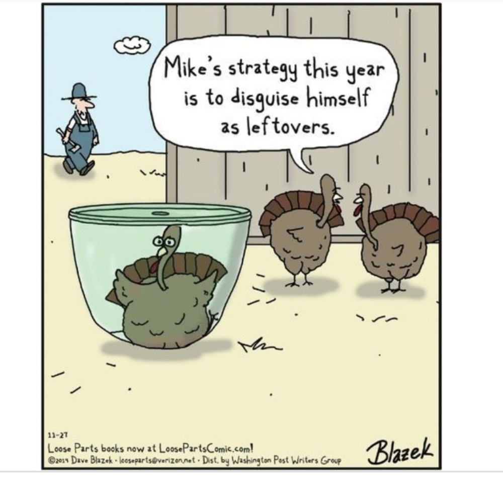 Corny Jokes